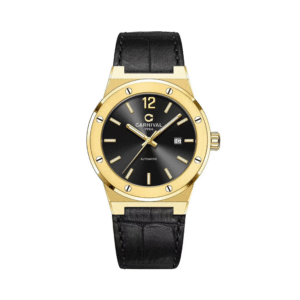 CARNIVAL 8122G-VV-DD-D