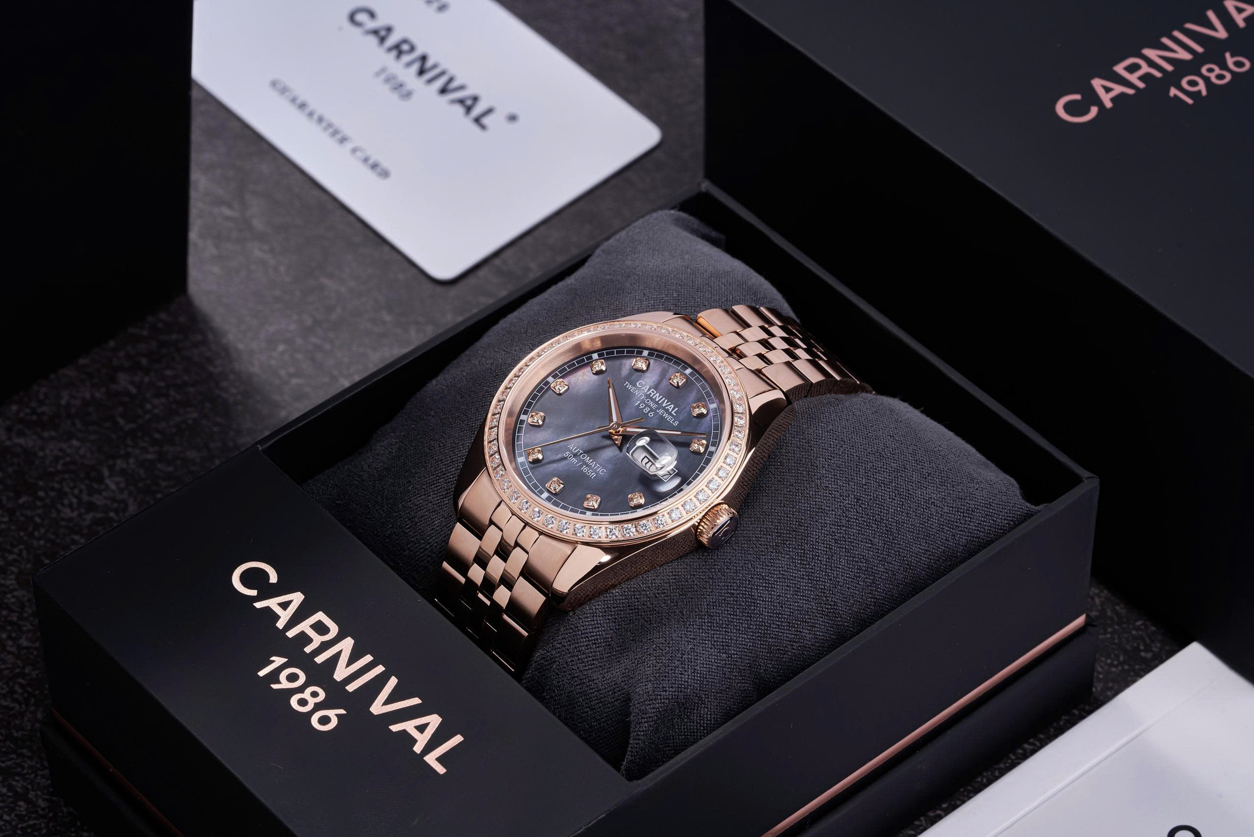CARNIVAL 8131G2-VH-DK - Ảnh 3
